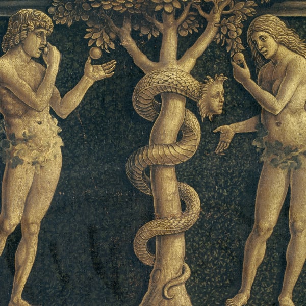 Paul, Paradox, Myth, and the Danger of Knowledge