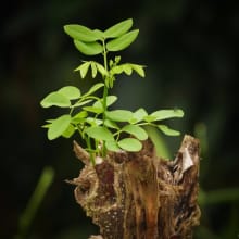 All Things Work Together For Good