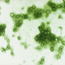 Unclean Christianity