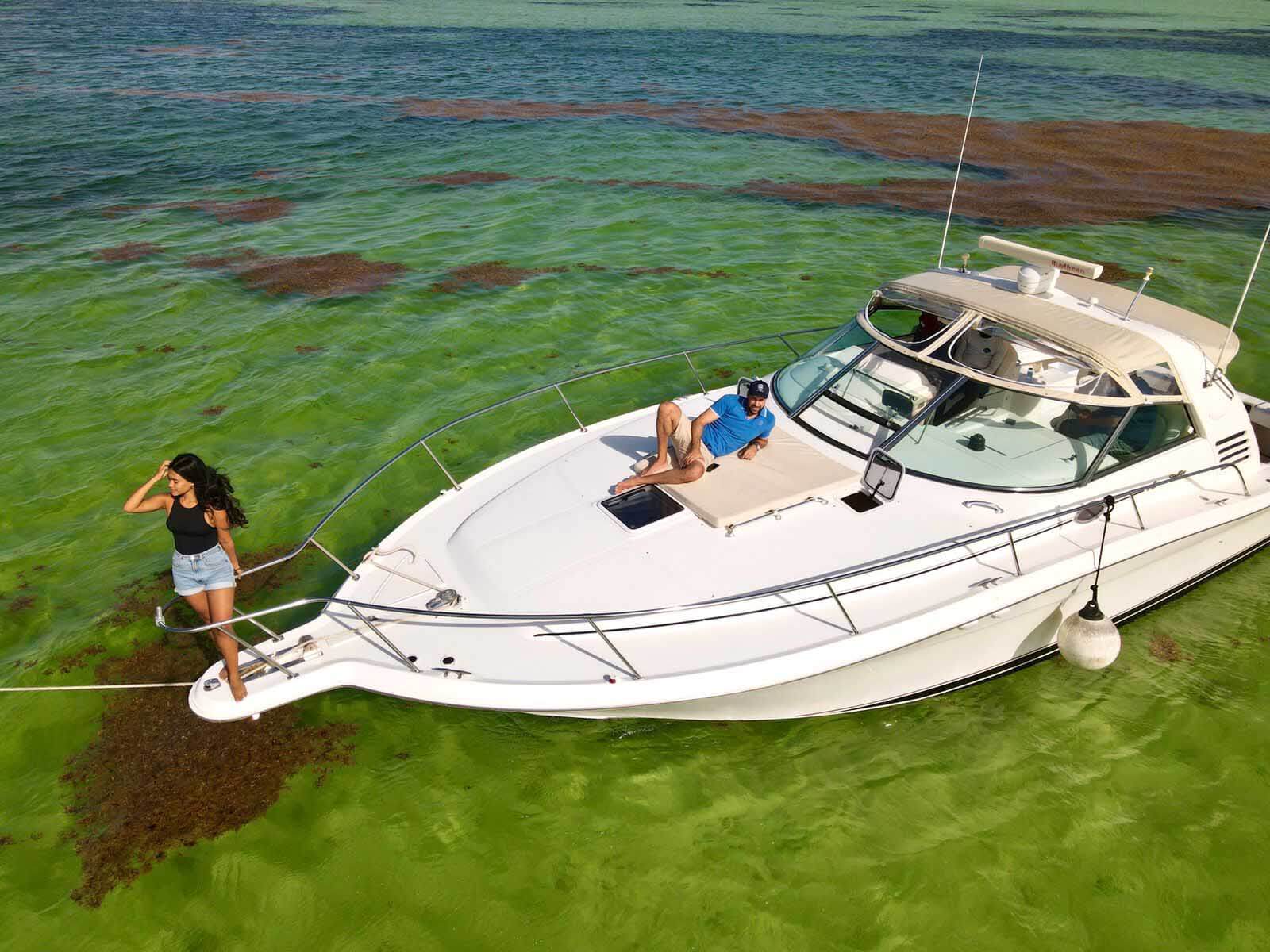 Searay 40