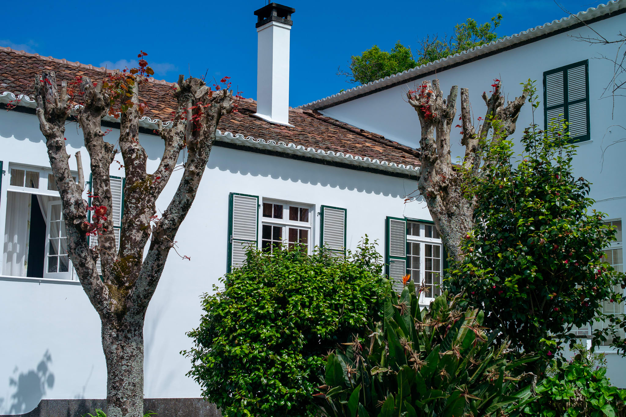 Azores-23