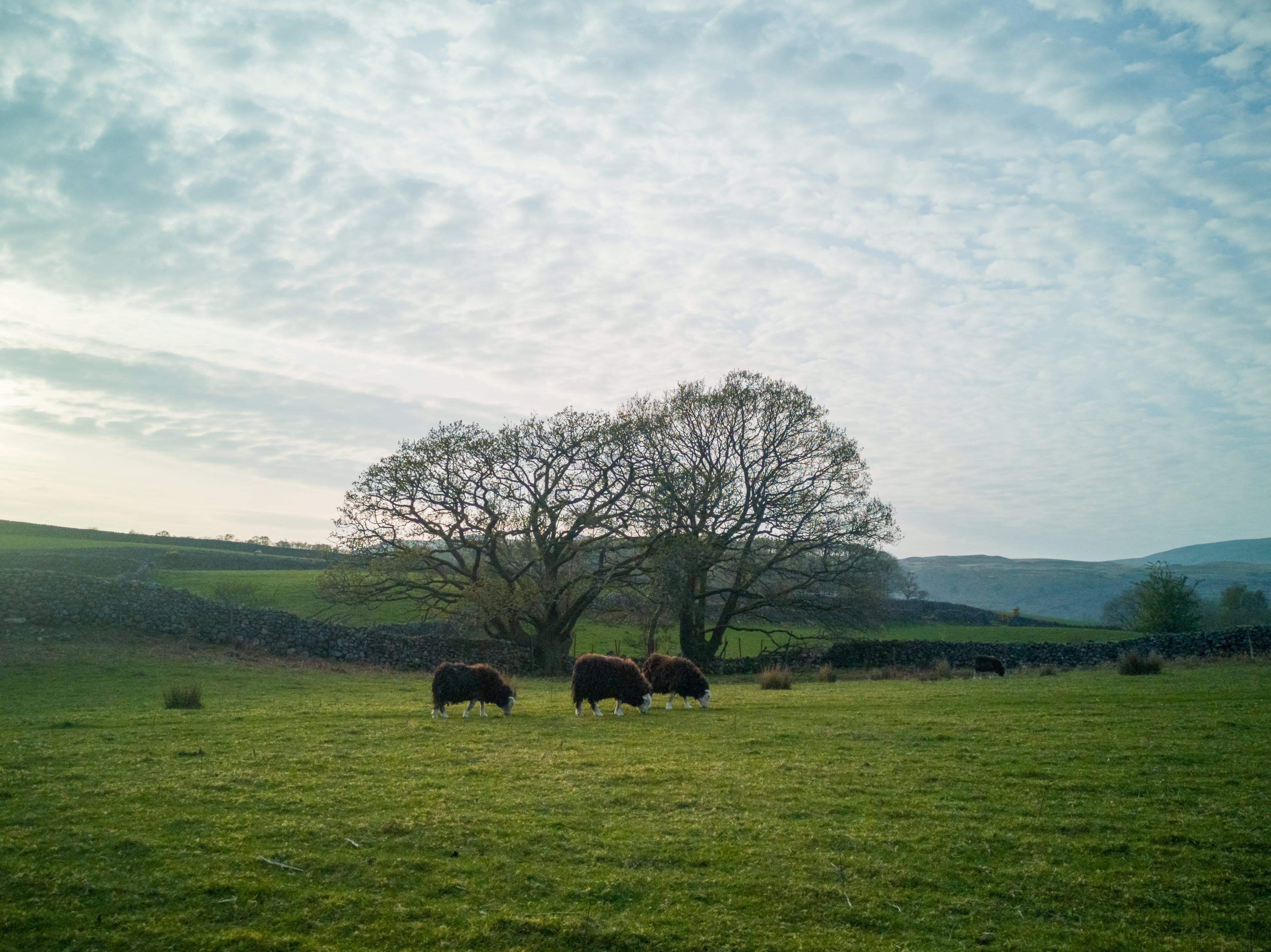 LakeDistrict2019_008