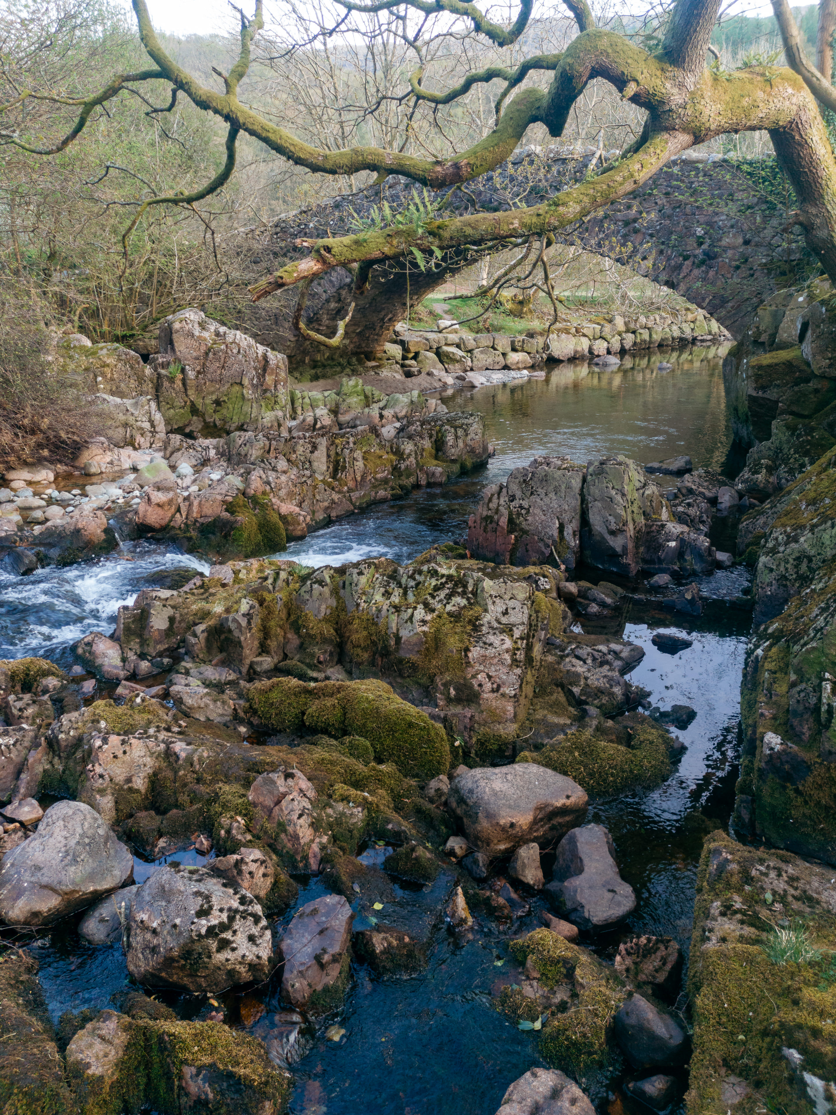 LakeDistrict2019_009