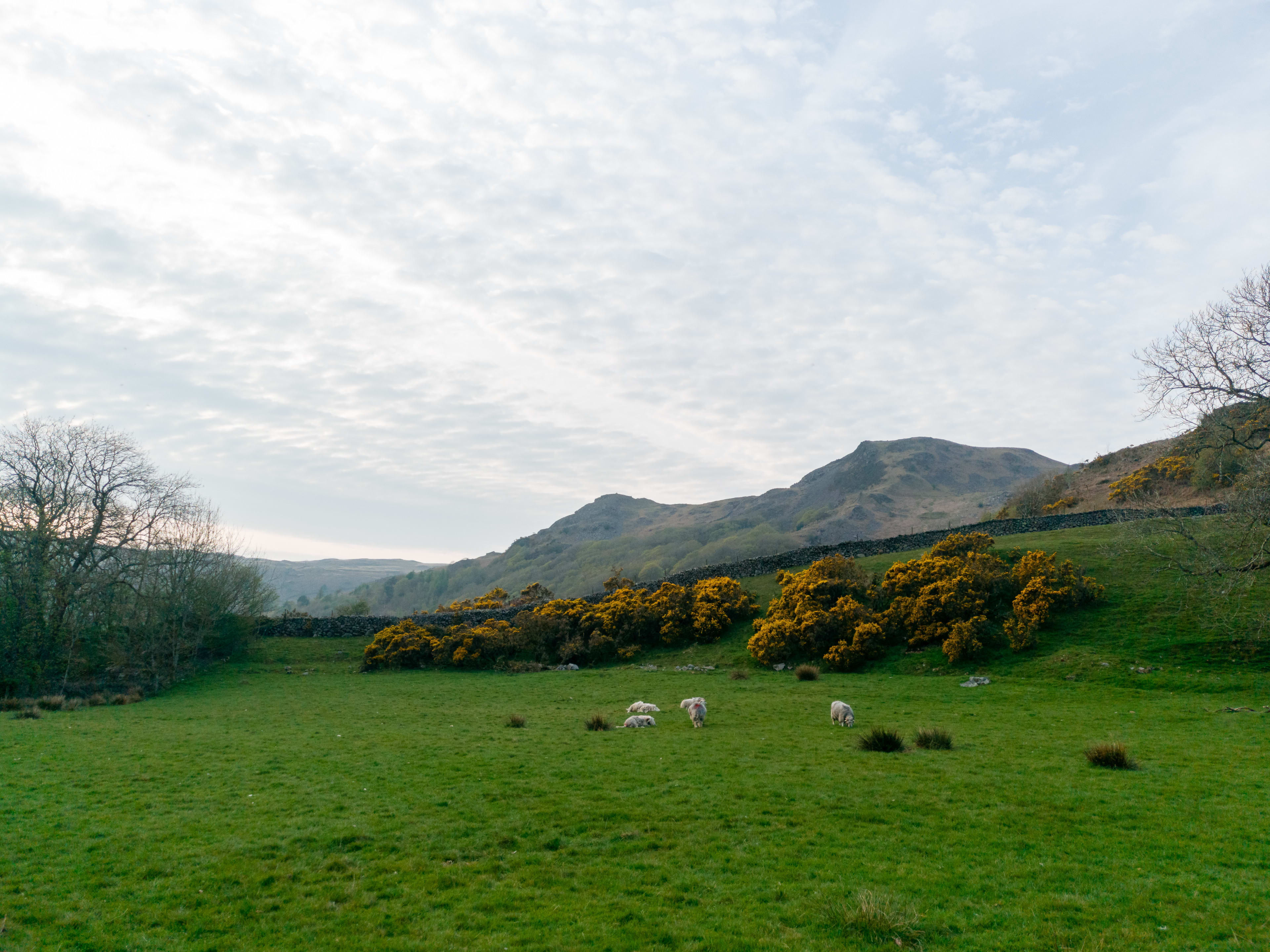 LakeDistrict2019_010