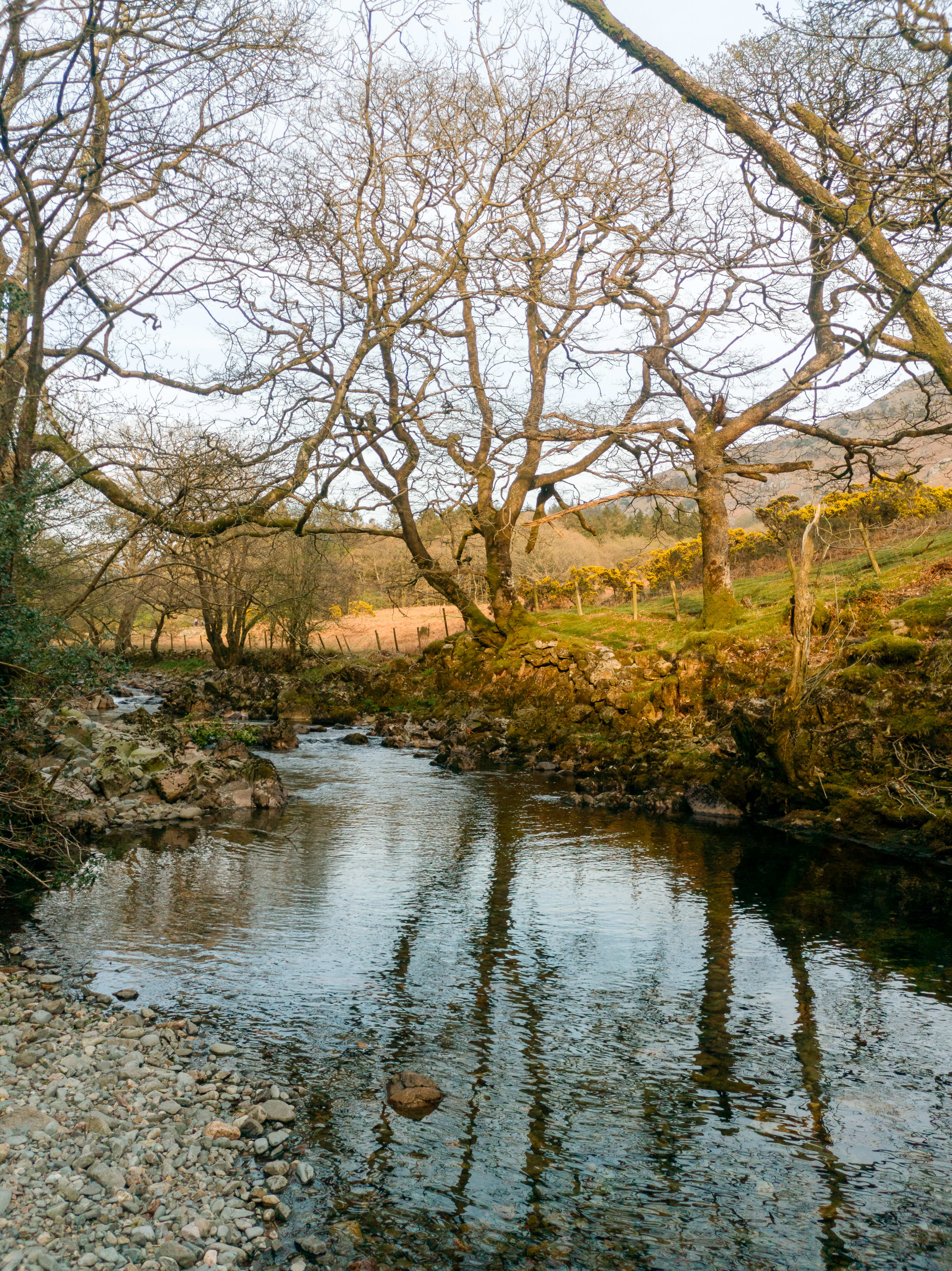 LakeDistrict2019_007