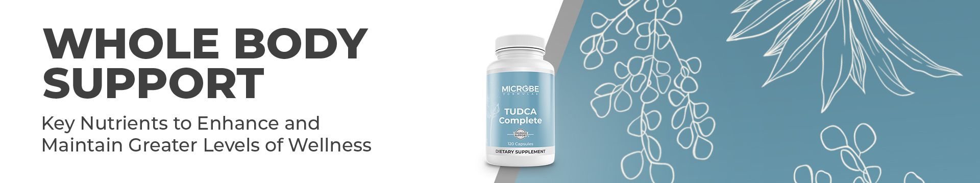 mitorestore