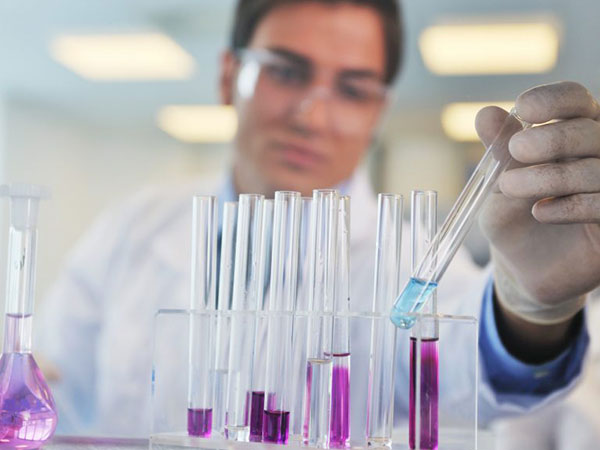 Telomerase Inducer