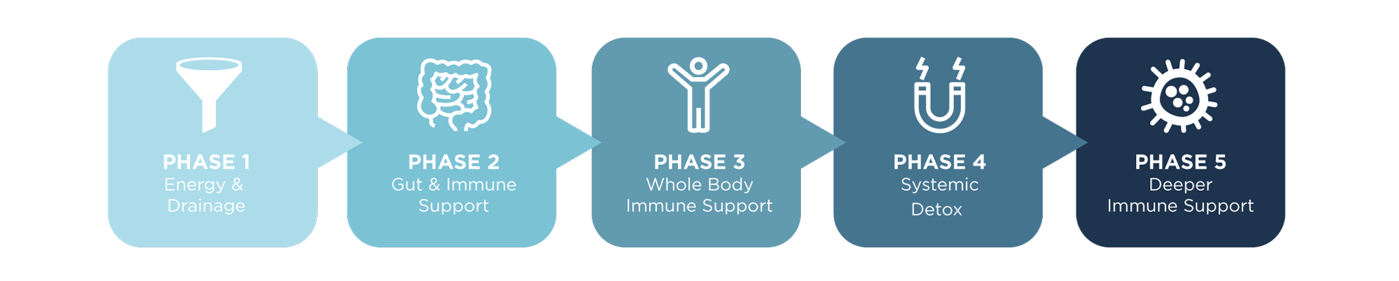 CellCore Phase 4B: Systemic Detox (Comprehensive Protocol) - BioMed Health  Center