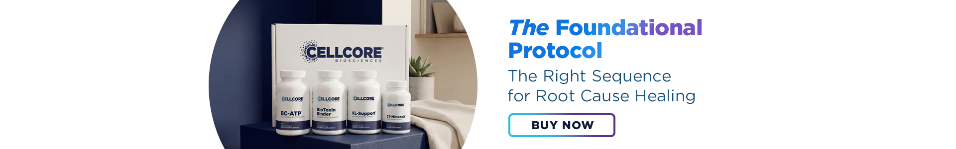 The Foundational Protocol - The Right Sequence for Root Cause Healing - BUY NOW