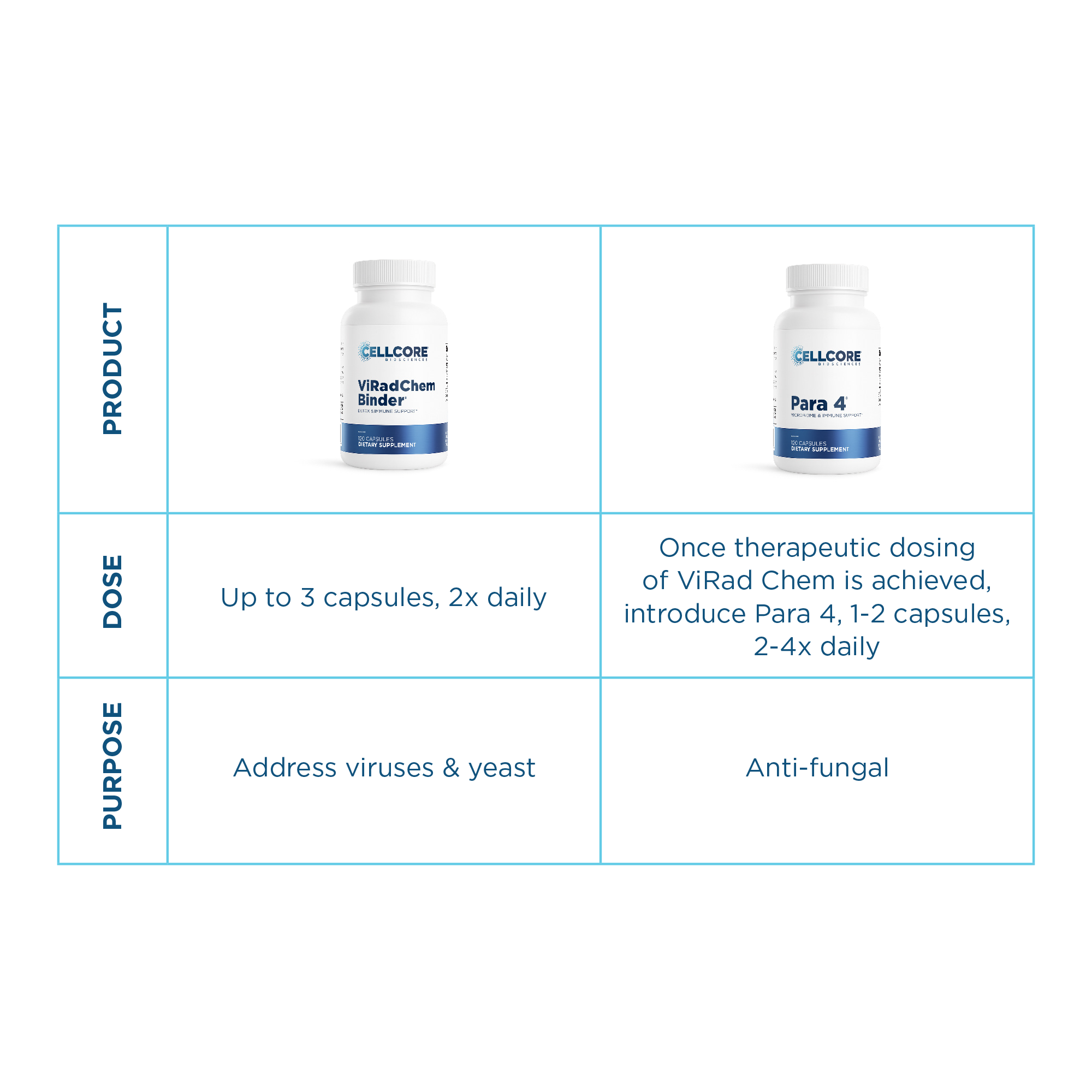 Dr. Jaban’s Neuroinflammation Protocol | Phase 3 | Step 6 table