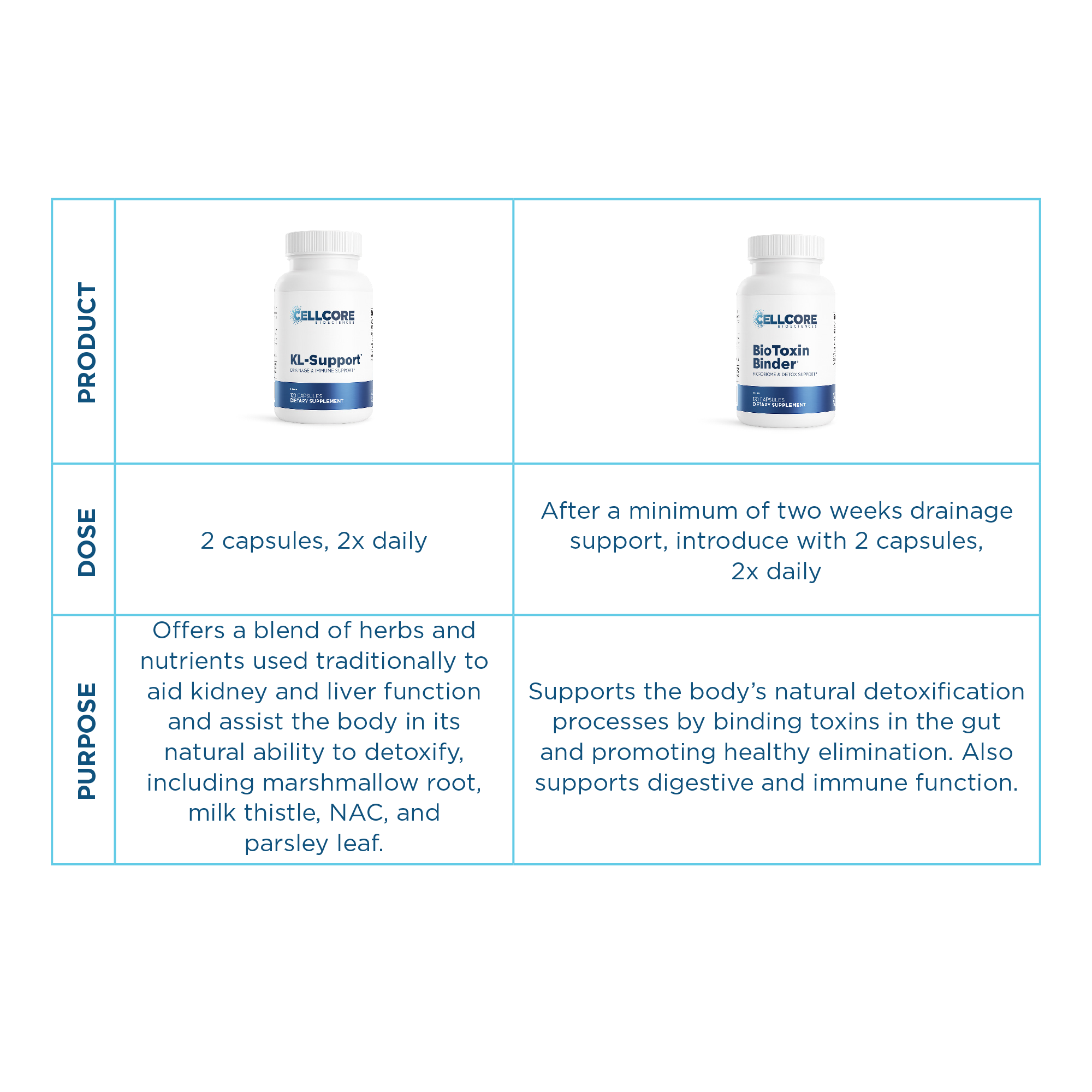 Mold Toxicity & CIRS Foundational Drainage & Detox Support Protocol table