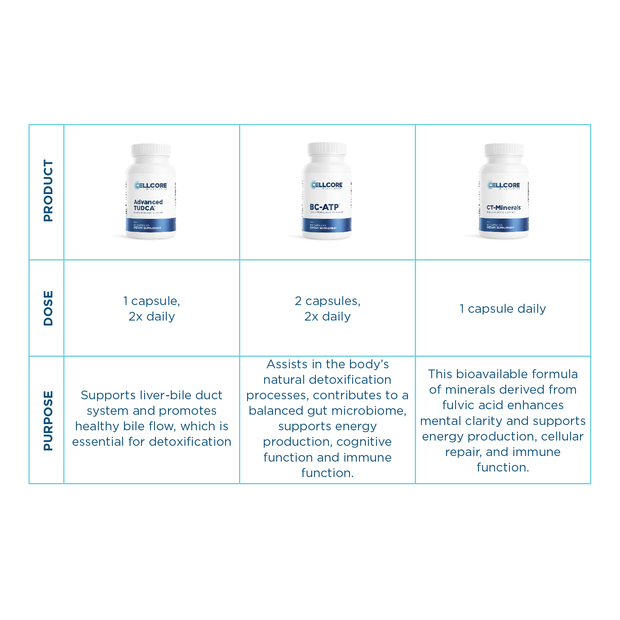 Mold Toxicity & CIRS Foundational Drainage & Detox Support Protocol table