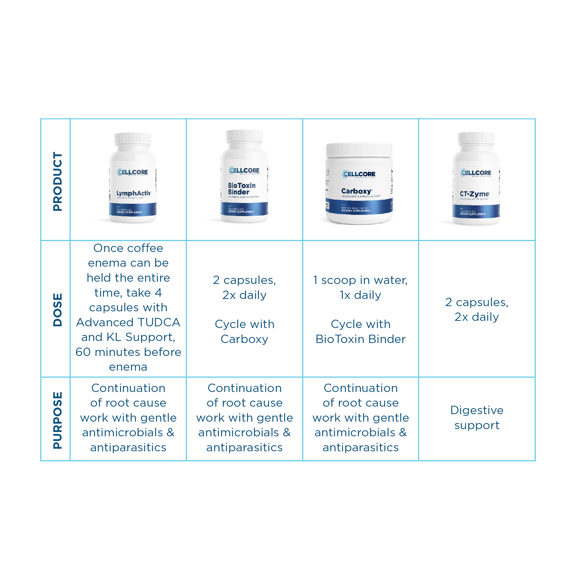 Sinclair Kennally's Detox Protocol for Mold, Biofilms & Parasites | Phase 2 table