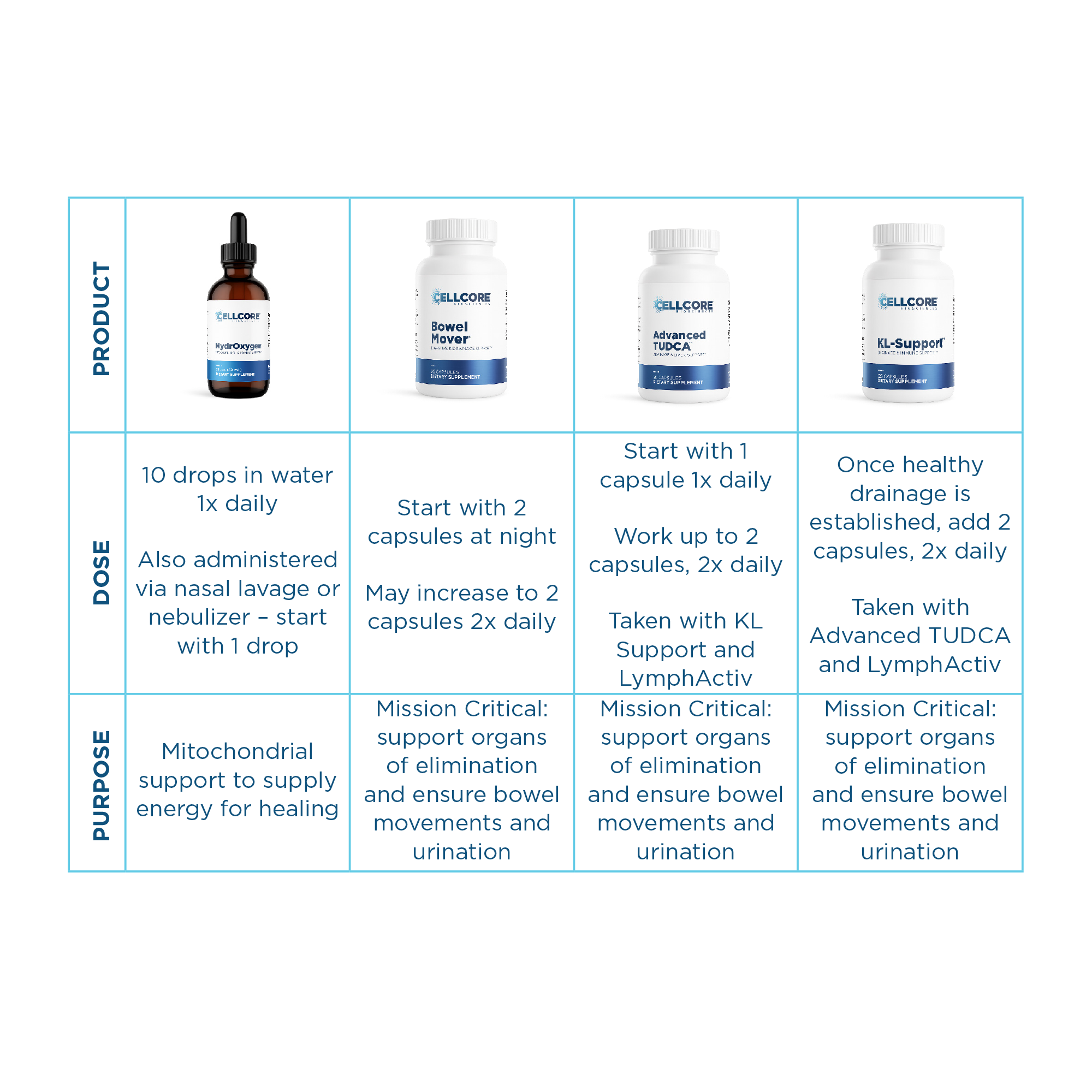 Sinclair Kennally's Detox Protocol for Mold, Biofilms & Parasites | Phase 1 table
