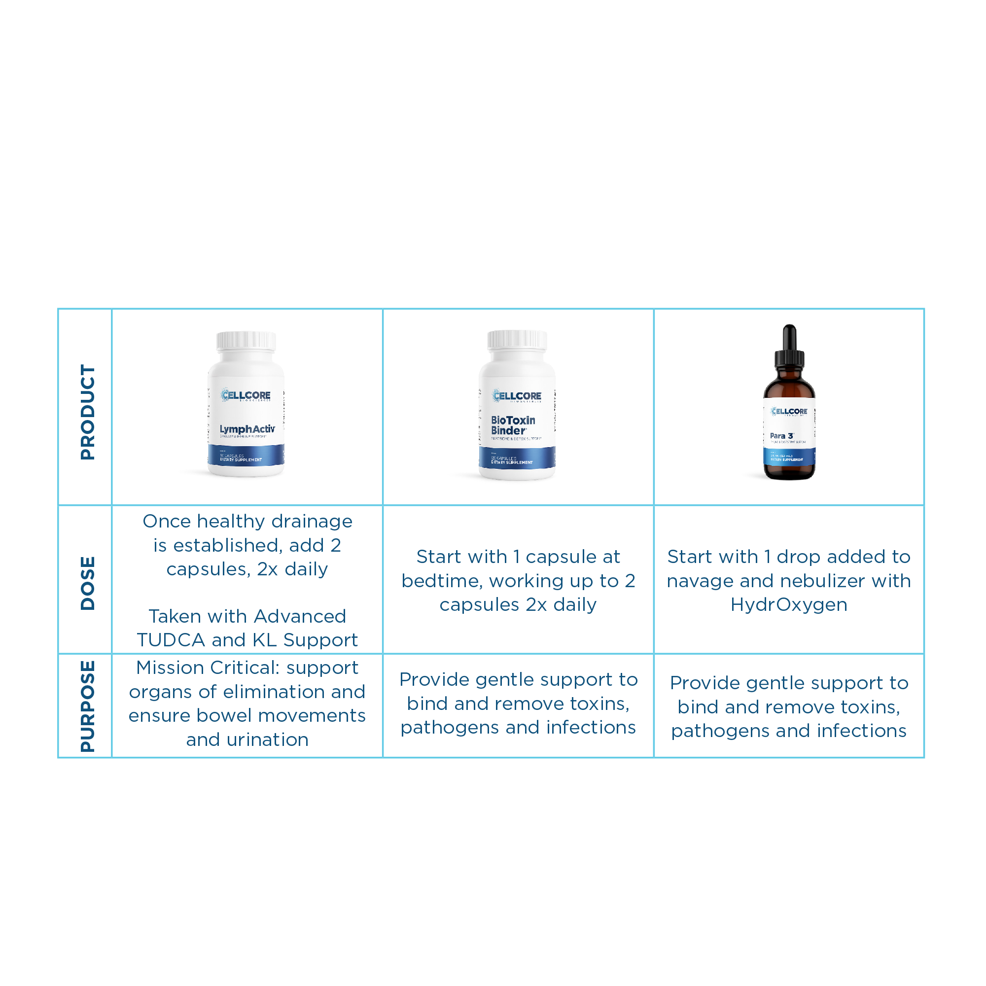 Sinclair Kennally's Detox Protocol for Mold, Biofilms & Parasites | Phase 1 table