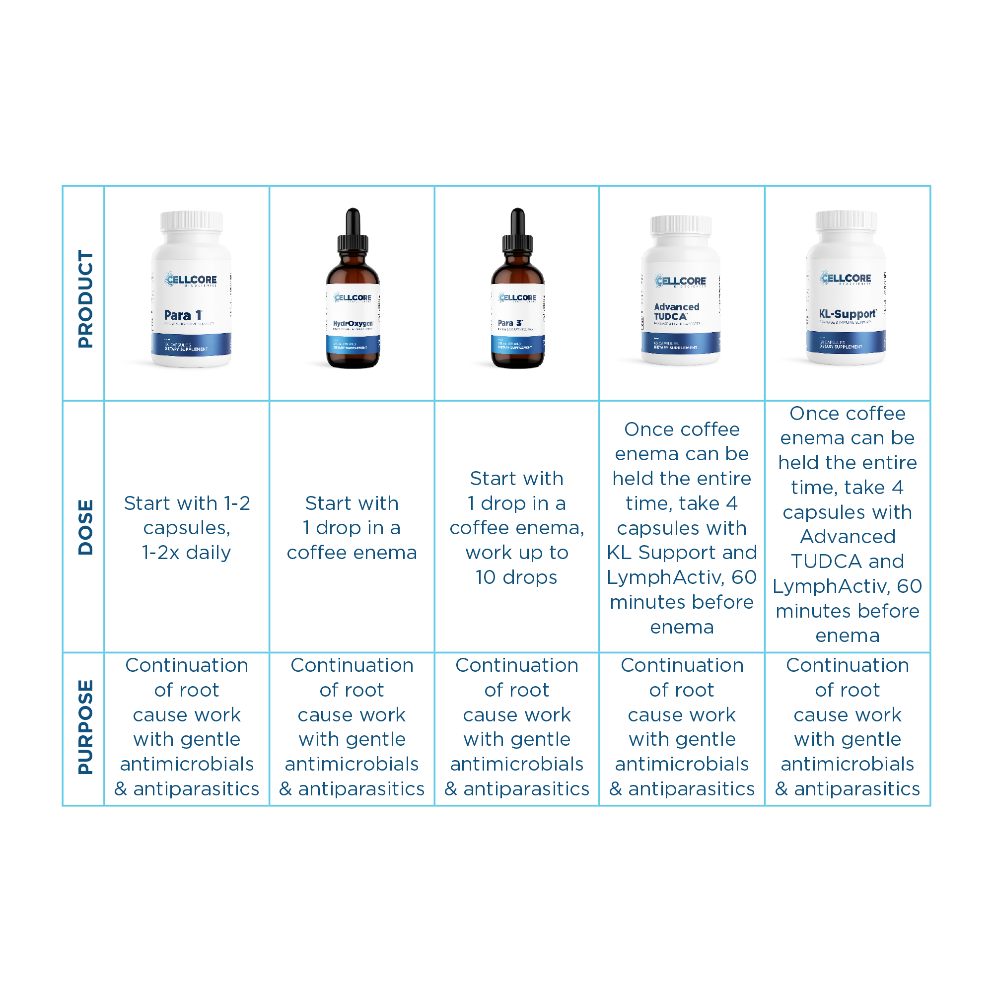 Sinclair Kennally's Detox Protocol for Mold, Biofilms & Parasites | Phase 2 table