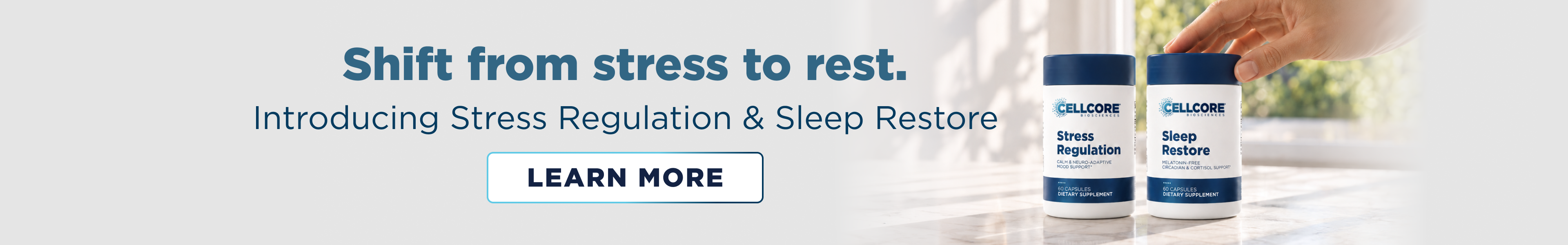 Introducing Nervous System Support - Stress Regulation & Sleep Restore