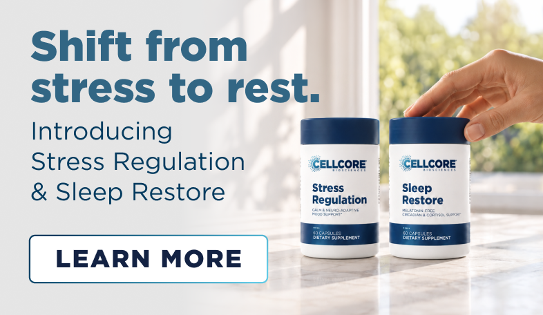 Introducing Nervous System Support - Stress Regulation & Sleep Restore