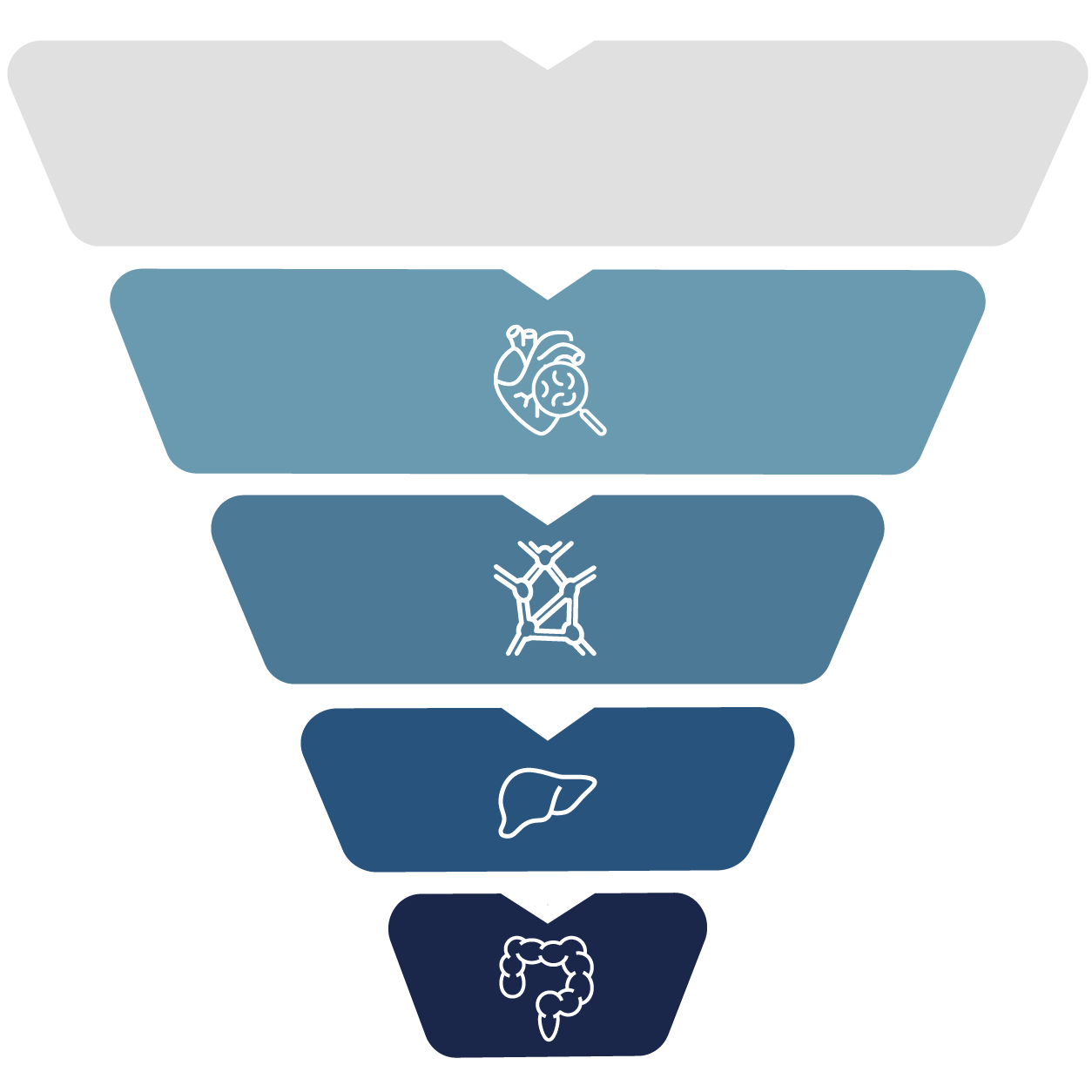 Organs, tissues, and lower drainage pathways
