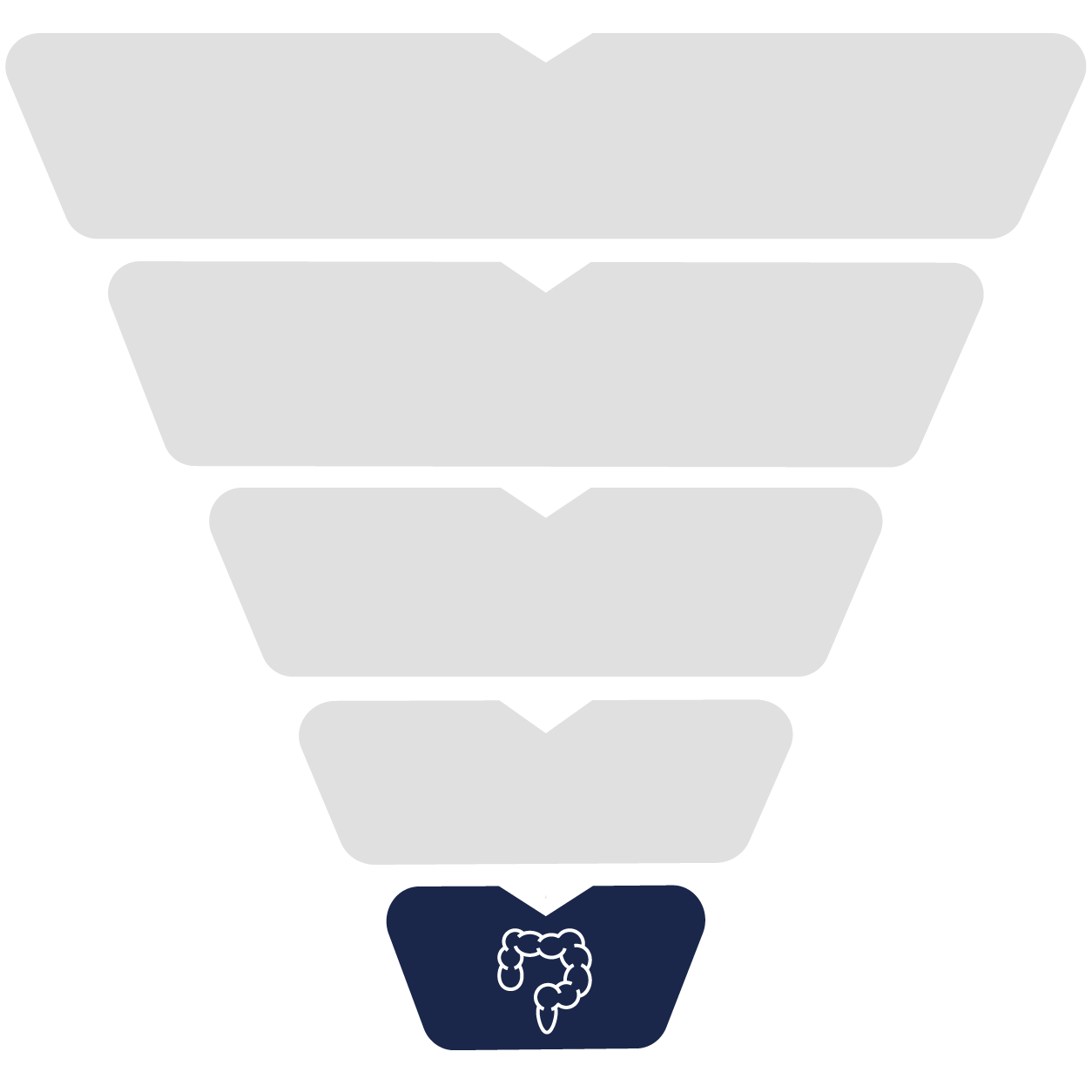 Colon drainage pathway