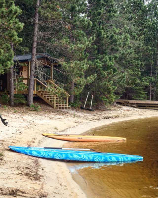 PaddleBoards.jpg