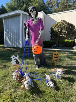 Old-Saybrook-Veterinary-Hospital-Scarecrow-w1440.jpg