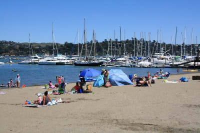 Schoonmaker-Point-Beach-Marina.jpg