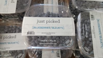 Just-Picked-Blueberry-Packaging.jpg