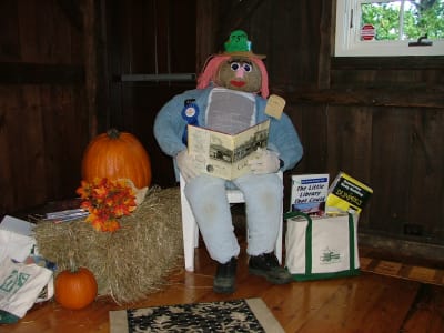 IMR00084.JPG