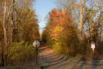 11020747AutumnOnKalHavenTrail-w1500.jpg