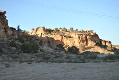 449.jpg