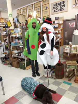 Bryson-and-Layla-holiday-showcase.jpg