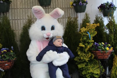 Easter Bunny & Grinch Photos - NE Chamber