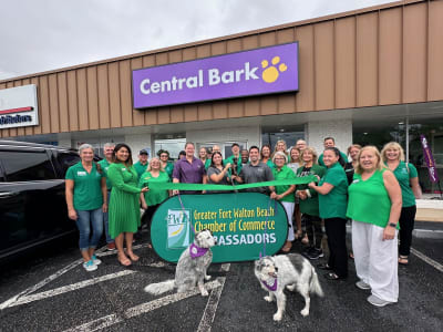RC-Central-Bark.jpg