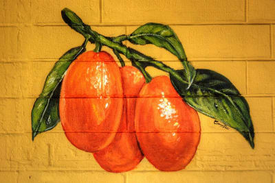 2014-Paint-Town-Kumquat-pic.jpg