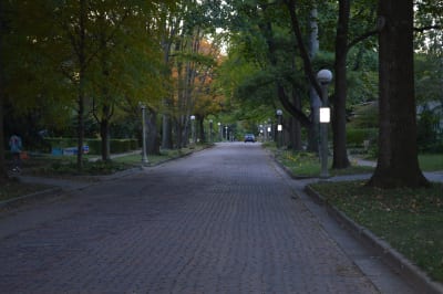 DSC_0197.JPG