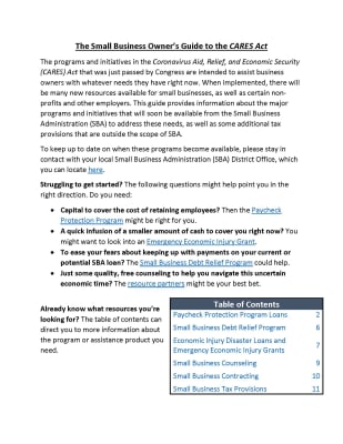 The-Small-Business-Owners-Guide-to-the-CARES-Act1_Page_01.jpg