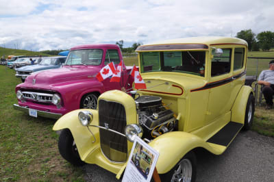 DSC_0225.jpg