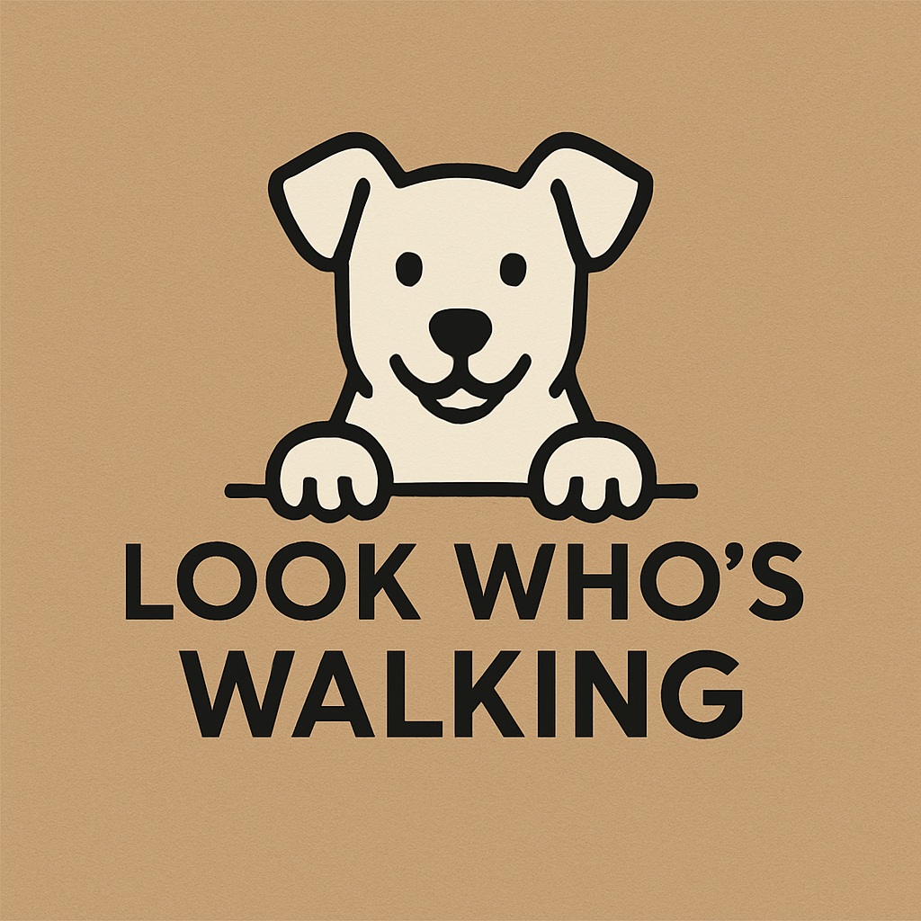 Peace of mind, one step at a time...