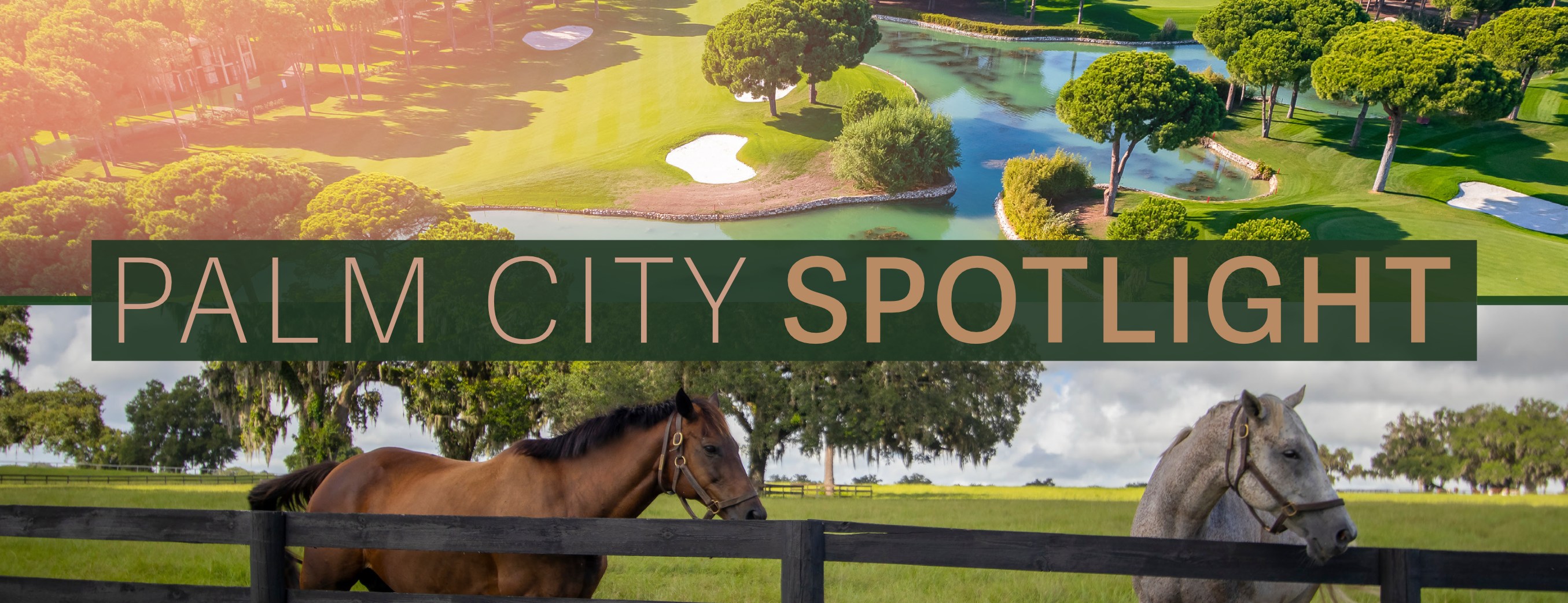 https://palmcityspotlight.seabreezecommunications.com/