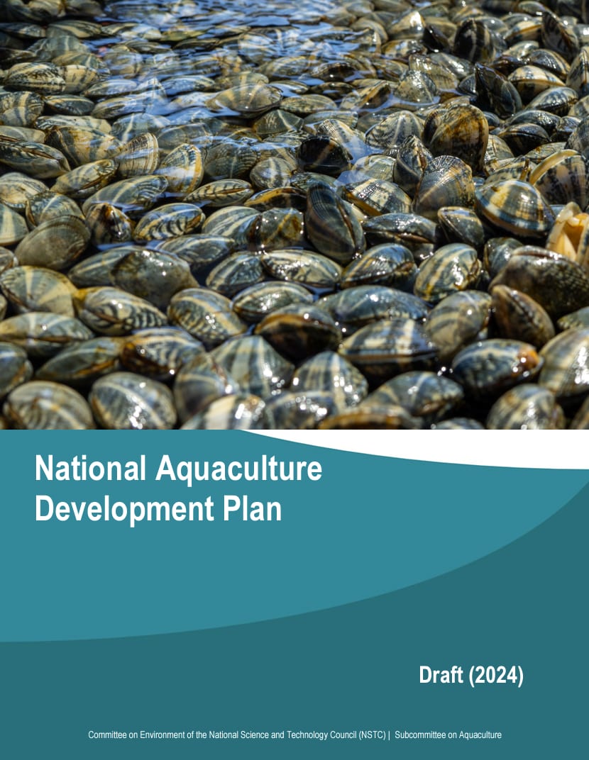 development plan draft