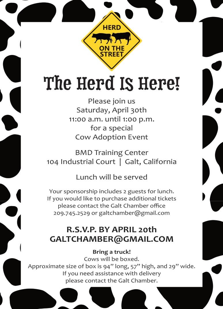 The Herd Is Here! Please join us Saturday, April 30th 11:00 a.m. until 1:00 p.m. for a special Cow Adoption Event BMD Trainin