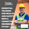 H&S Stage 1 Training