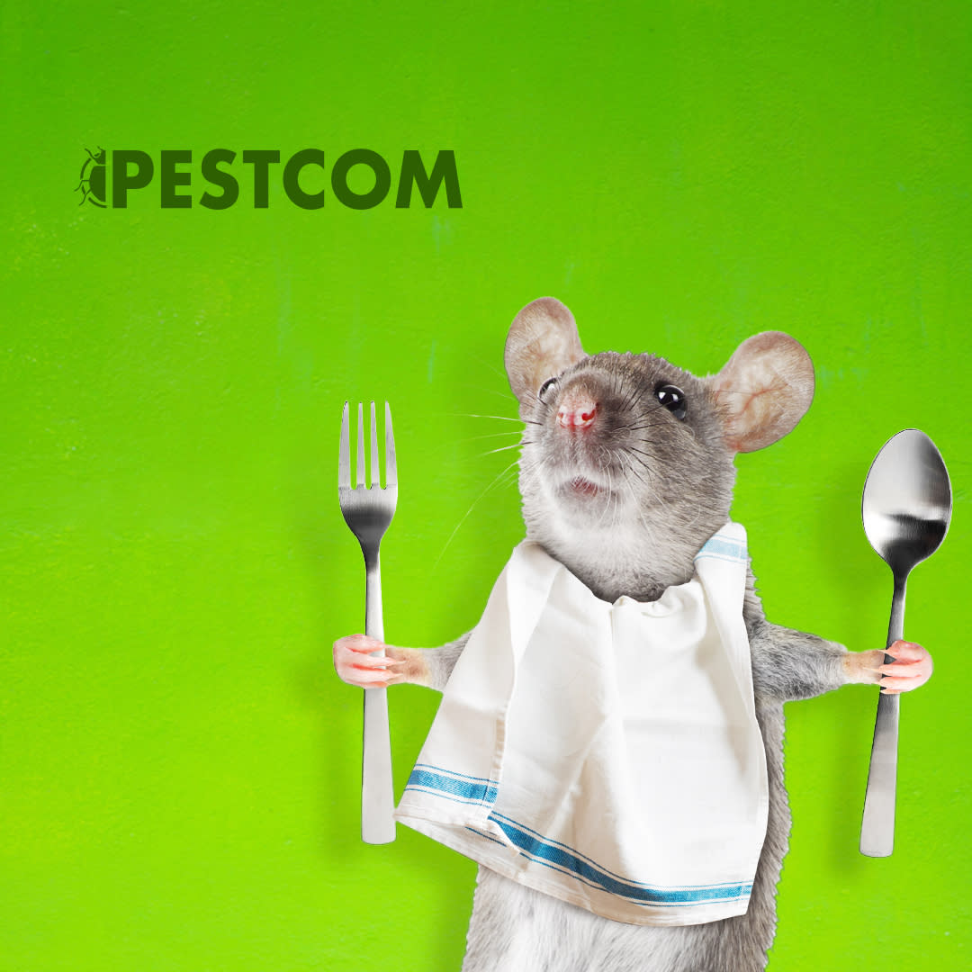 $50 OFF One-Time Pest Control