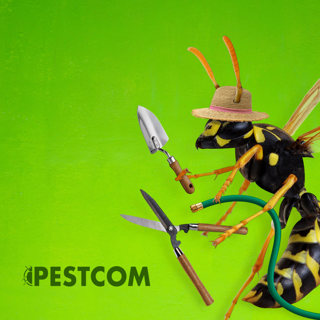 FREE Inspection & Estimate