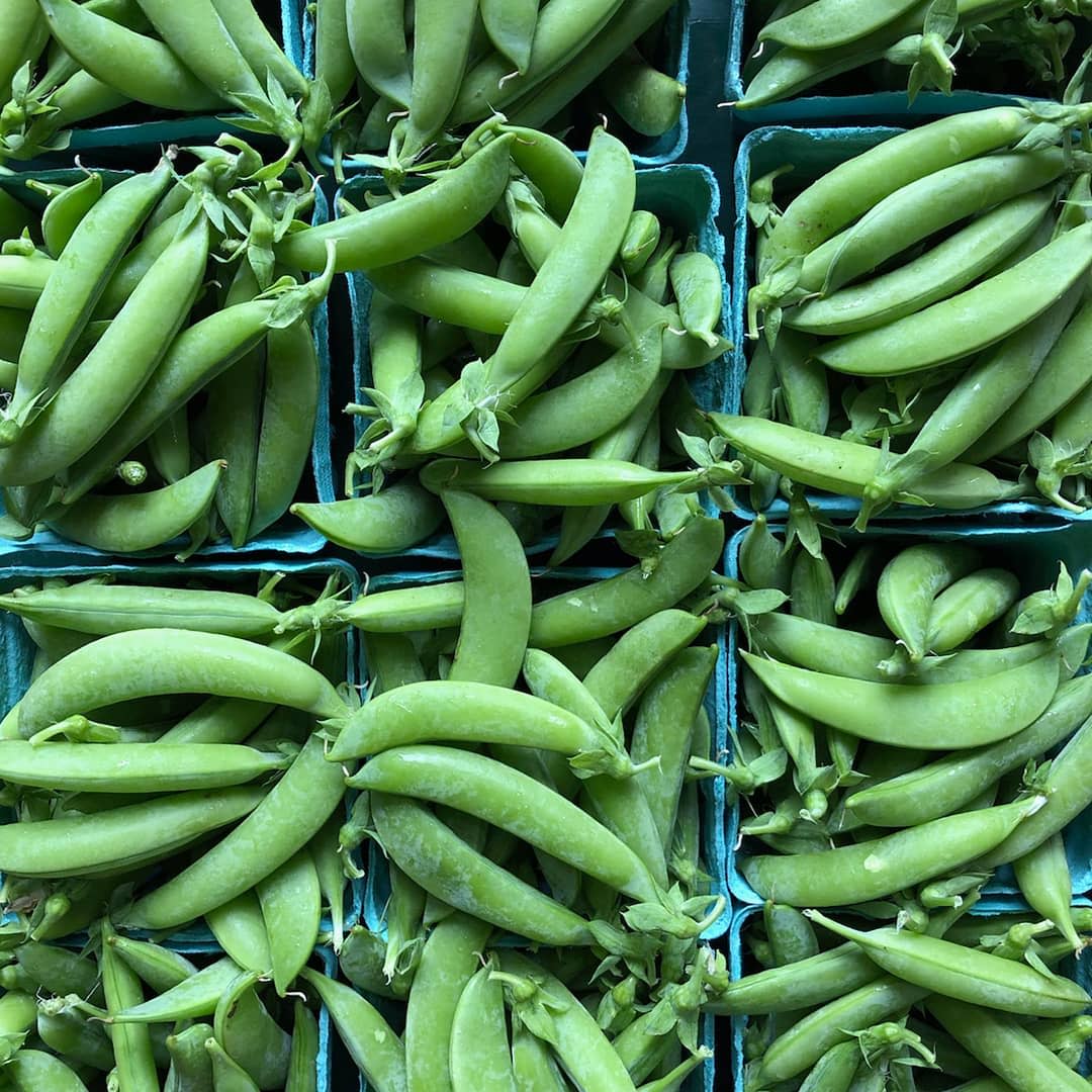 sugar snap peas