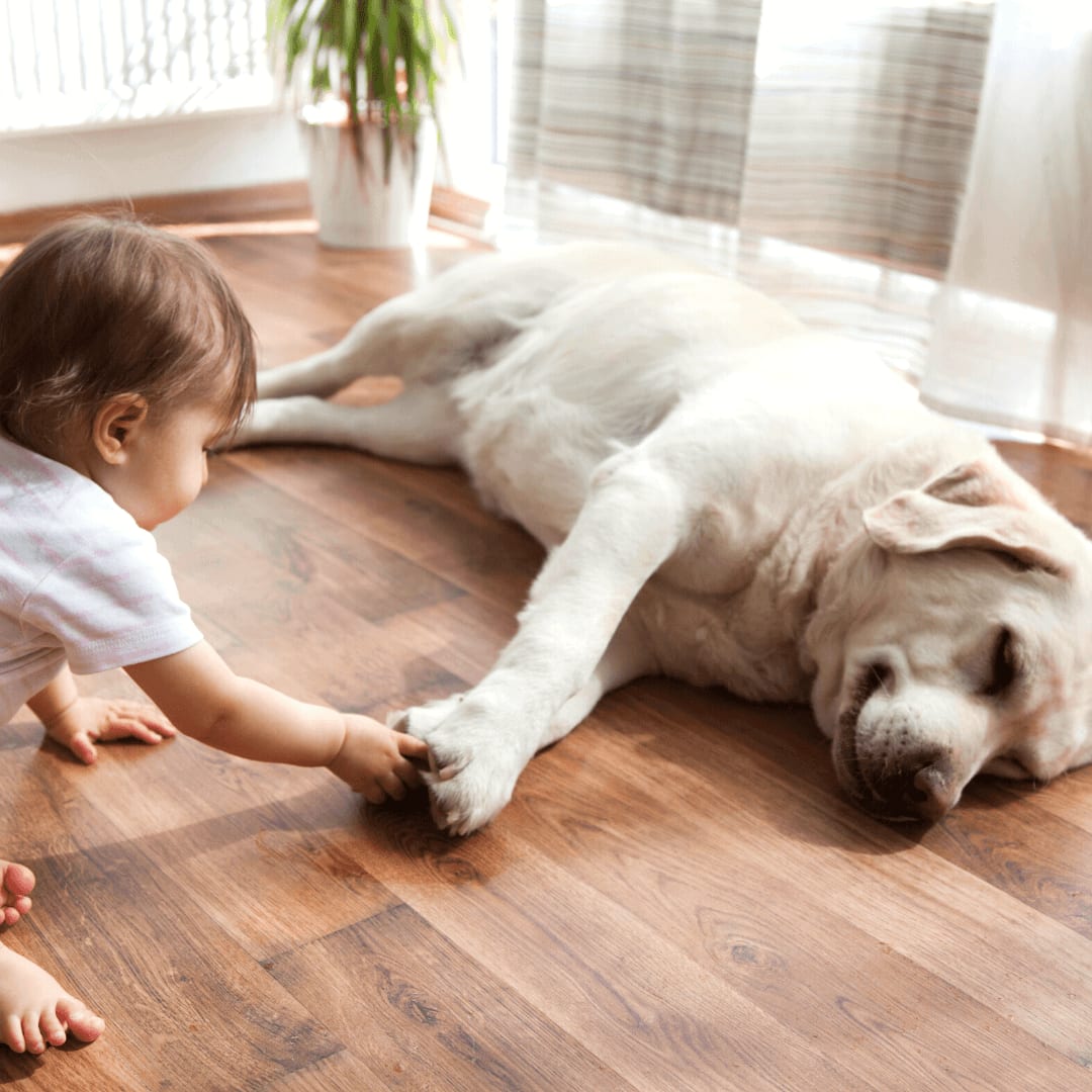 Floor Daddy Vinyl Plank Flooring