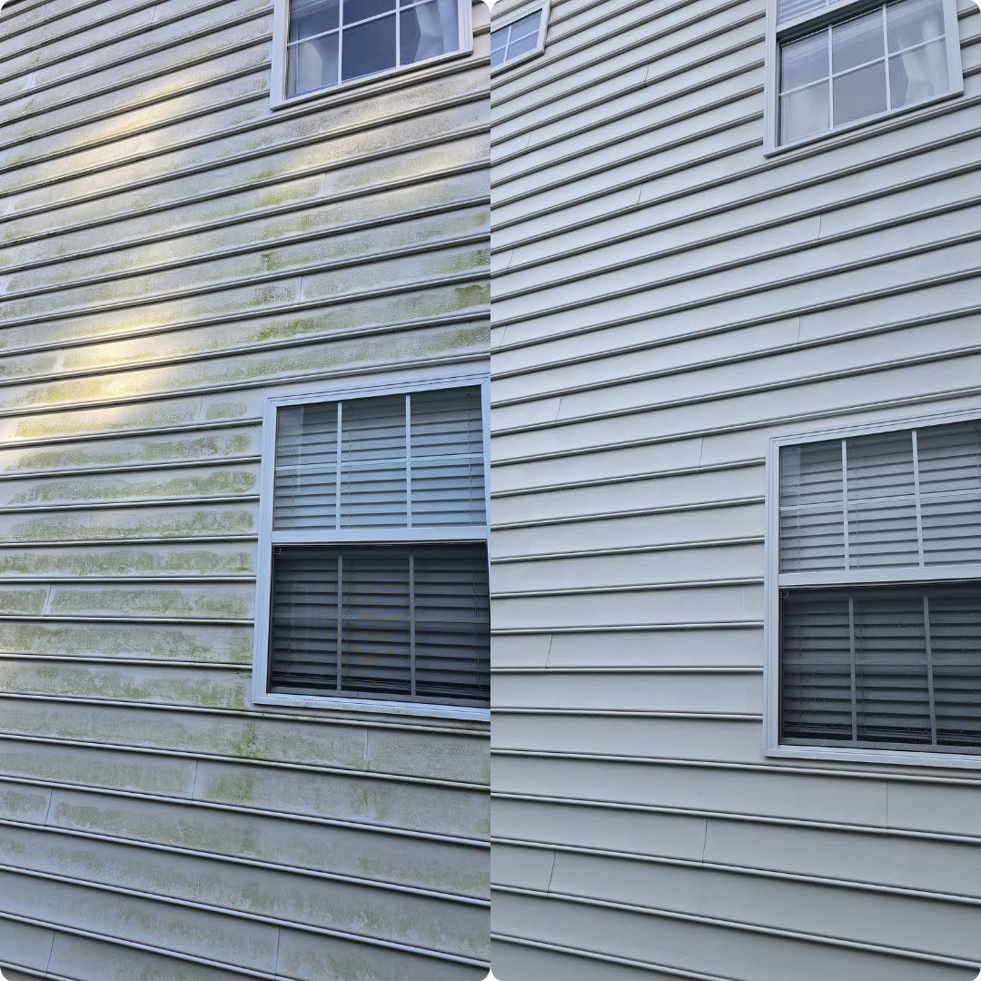 Vinyl Siding Cleaning