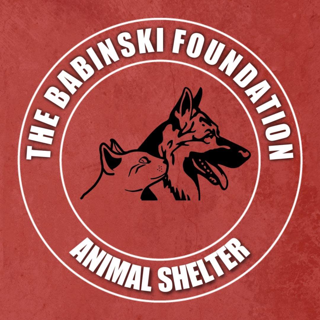 Fall Festival At The Babinski Foundation Animal Shelter Area Events 