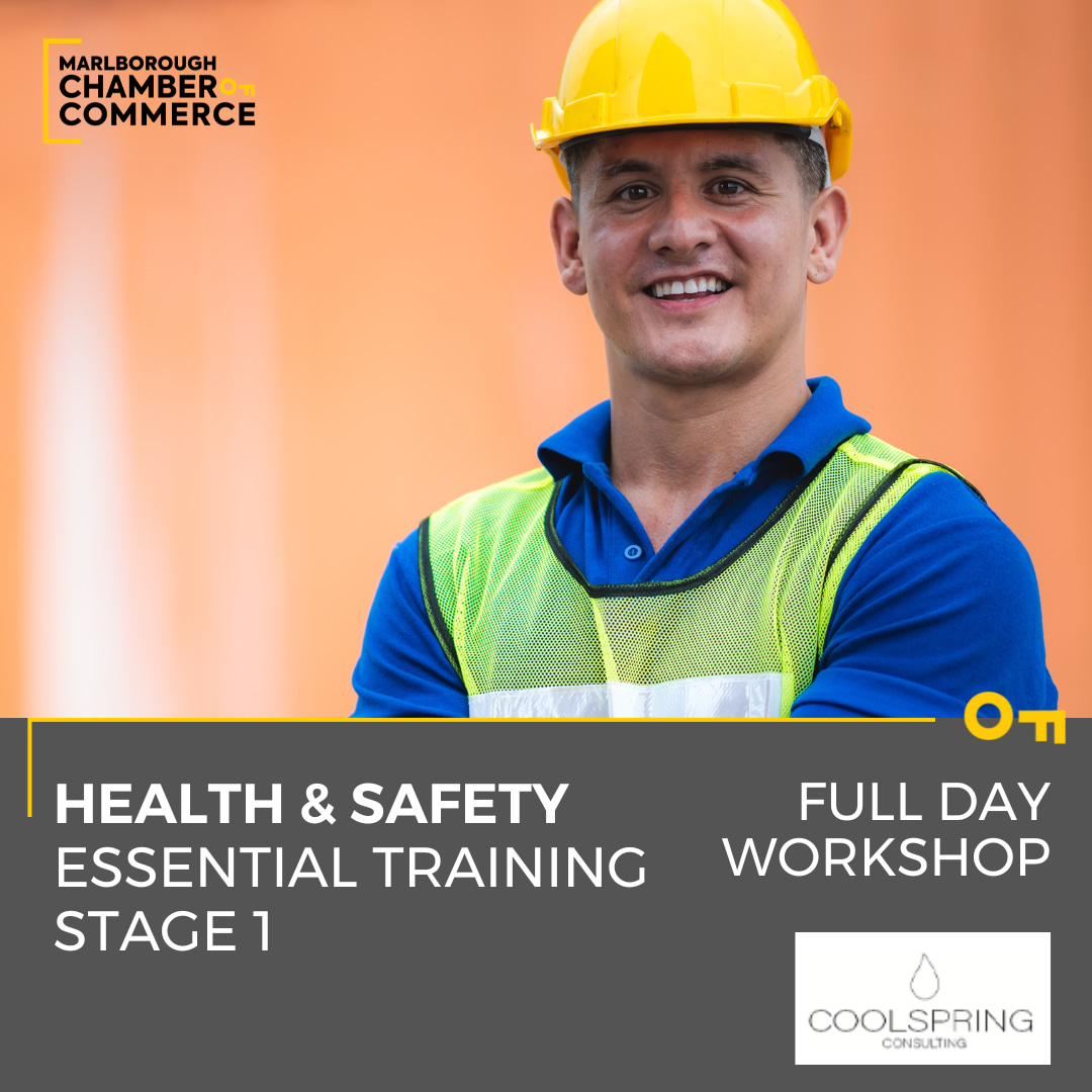 H&S Stage 1 Training